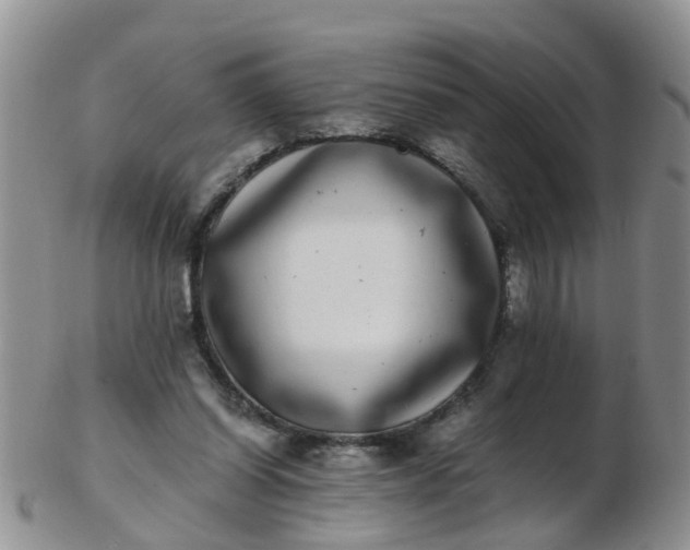 X0000103270254200809122142
