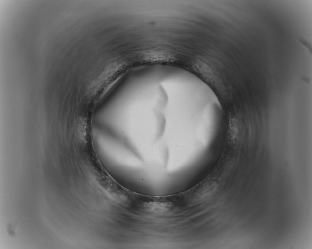 X0000103270255200809122142
