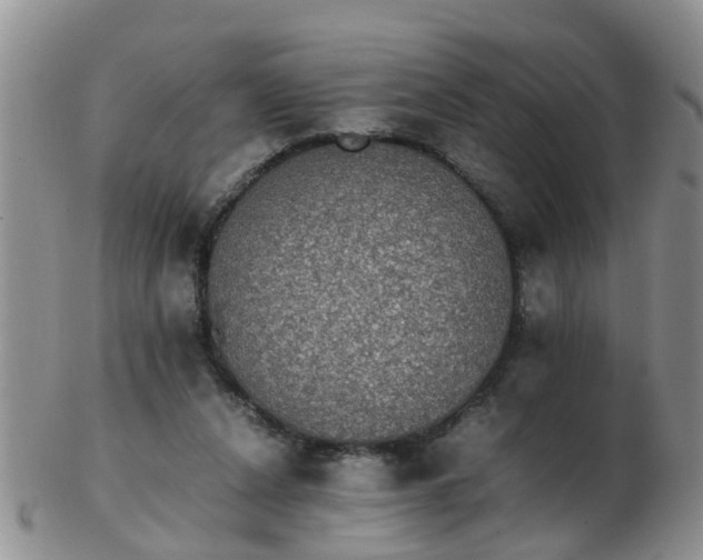 X0000103270256200809122142