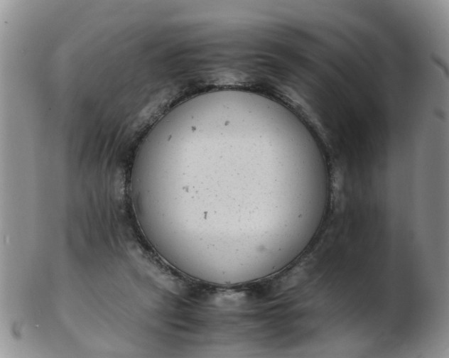 X0000103270257200809122142