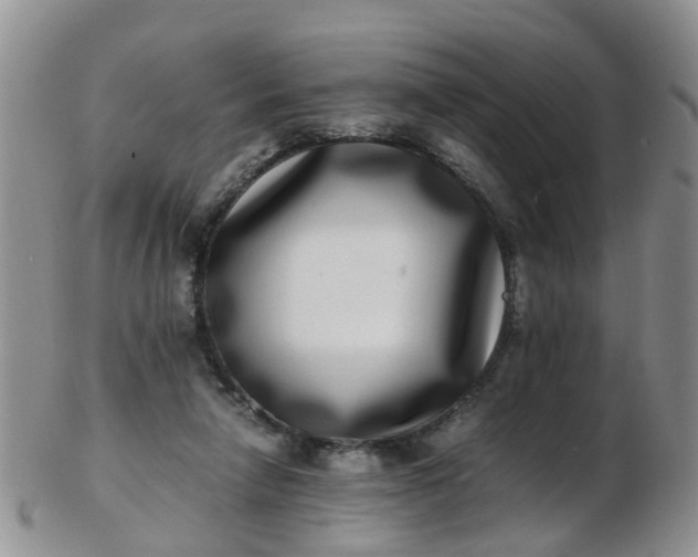 X0000103270258200809122142
