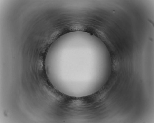 X0000103270259200809122142