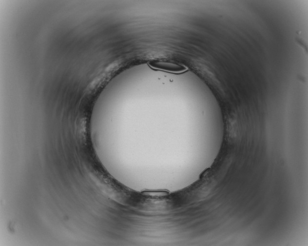 X0000103270260200809122142