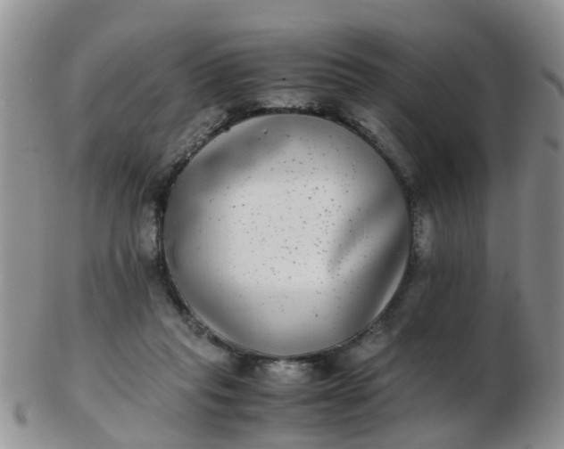 X0000103270261200809122142