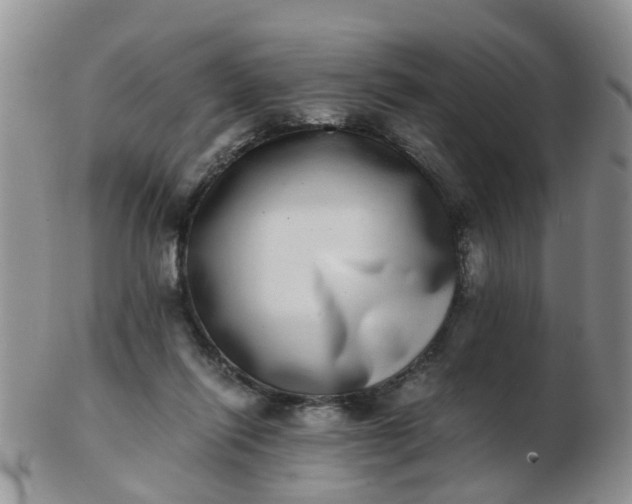 X0000103270262200809122142