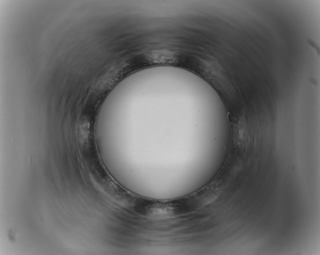 X0000103270263200809122142