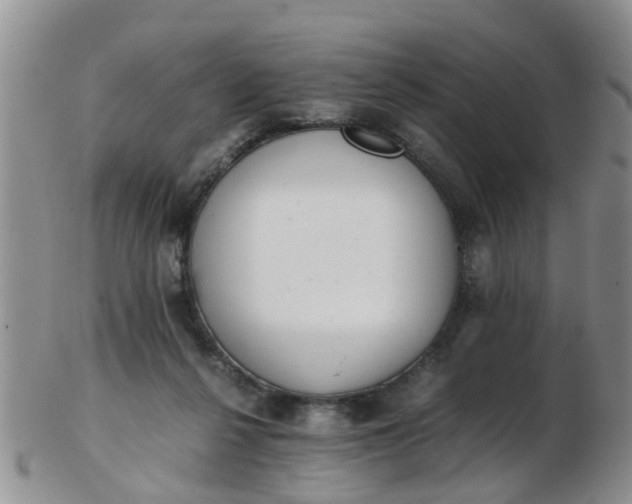 X0000103270264200809122142