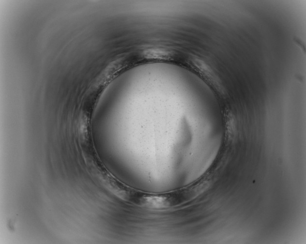 X0000103270265200809122142