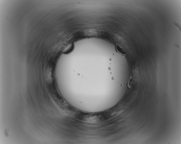 X0000103270267200809122142