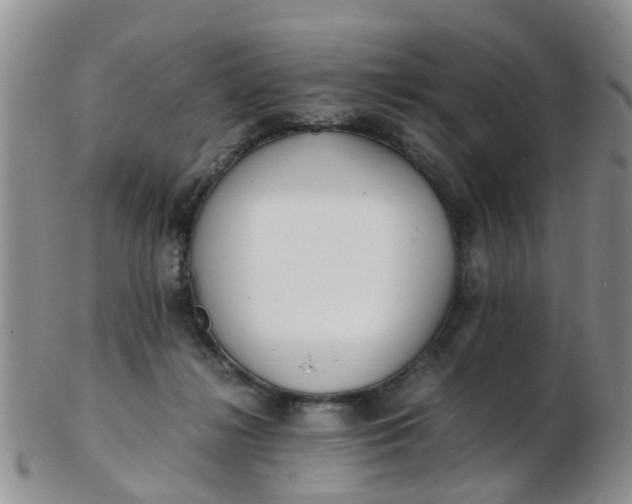 X0000103270268200809122143