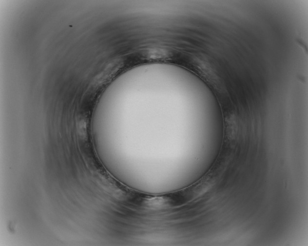 X0000103270269200809122143
