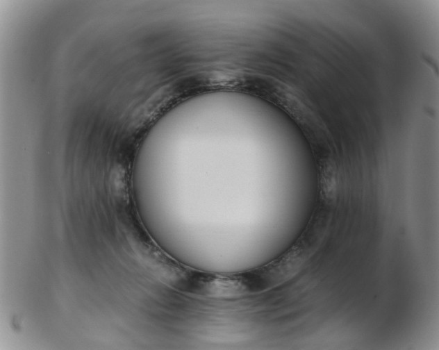 X0000103270270200809122143