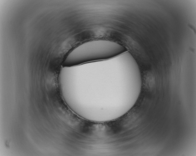 X0000103270272200809122143
