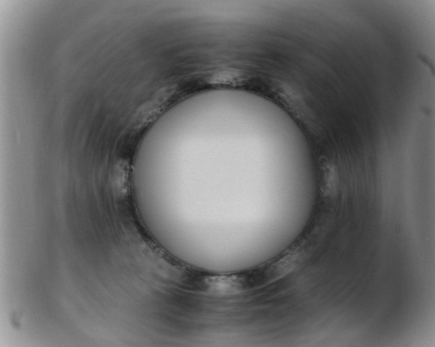 X0000103270273200809122143