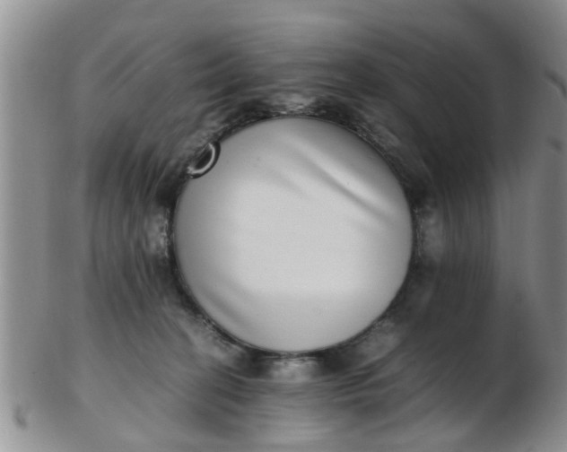 X0000103270274200809122143