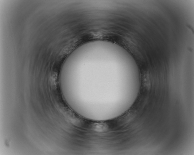 X0000103270275200809122143