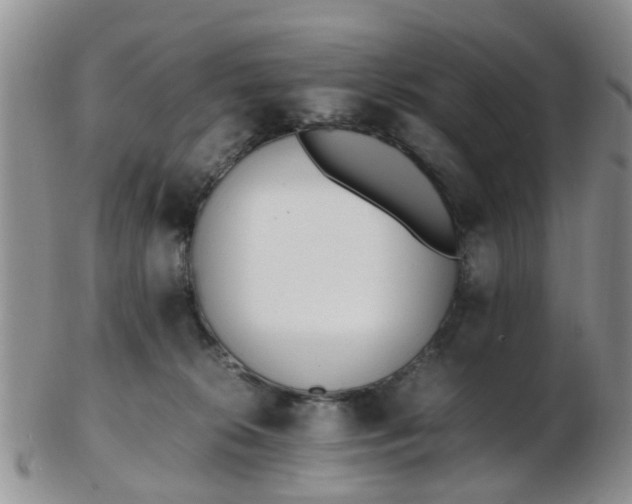 X0000103270276200809122143