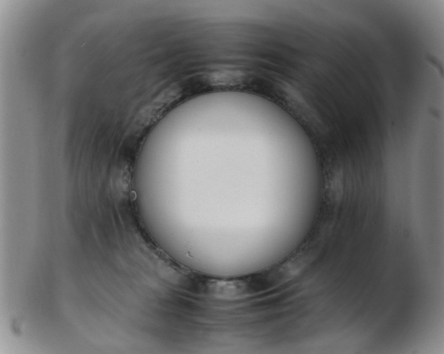 X0000103270277200809122143