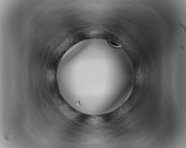 X0000103270278200809122143
