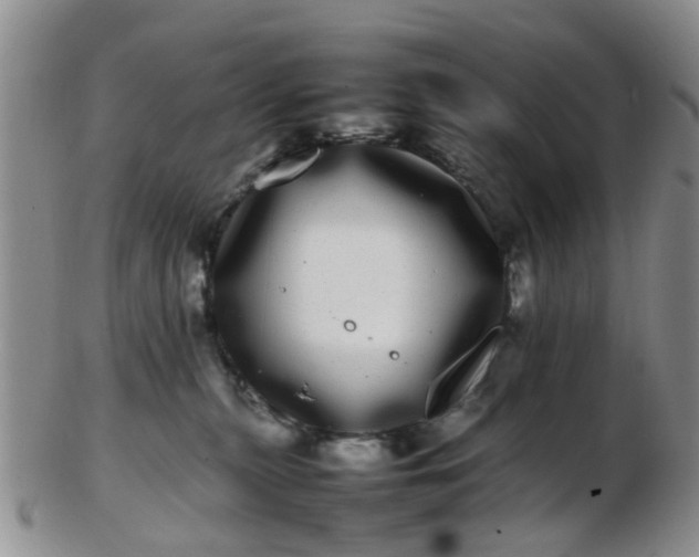 X0000103270279200809122143