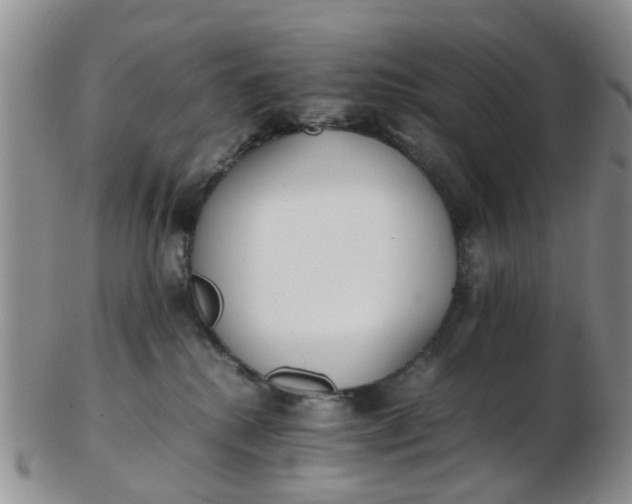 X0000103270280200809122143