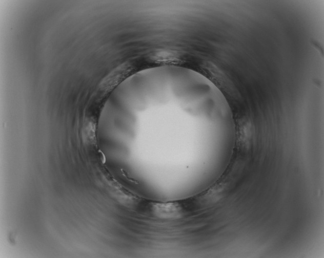 X0000103270281200809122143
