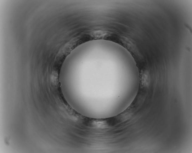 X0000103270283200809122143