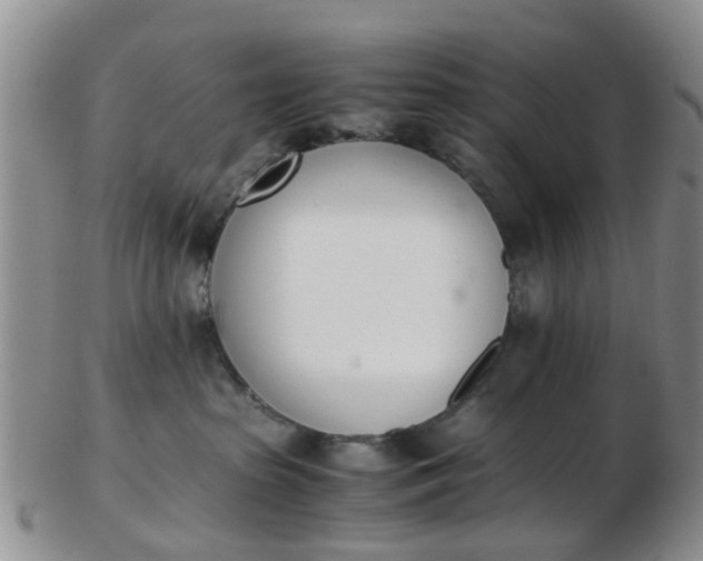 X0000103270285200809122143