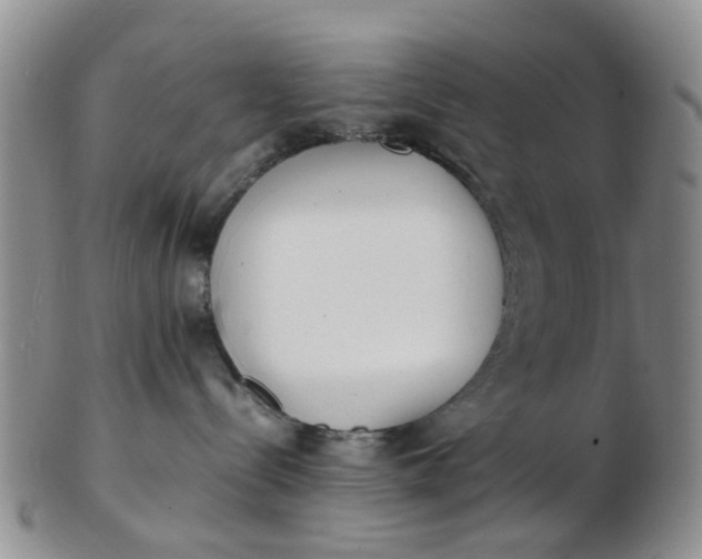 X0000103270288200809122143