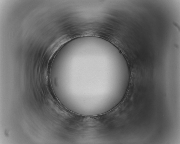 X0000103270290200809122142
