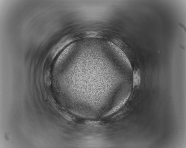 X0000103270291200809122142
