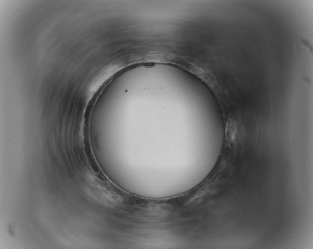 X0000103270292200809122142