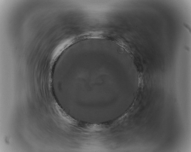X0000103270293200809122142