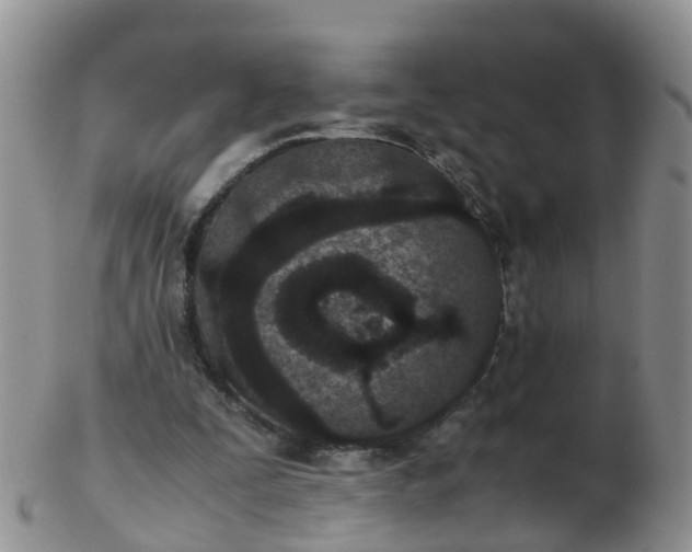 X0000103270295200809122142