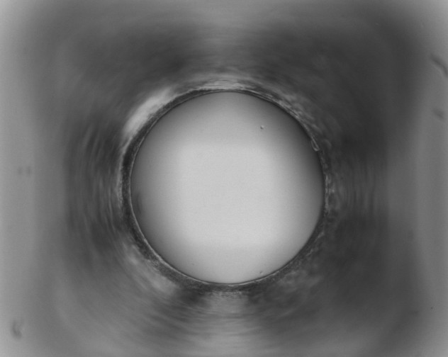X0000103270296200809122142