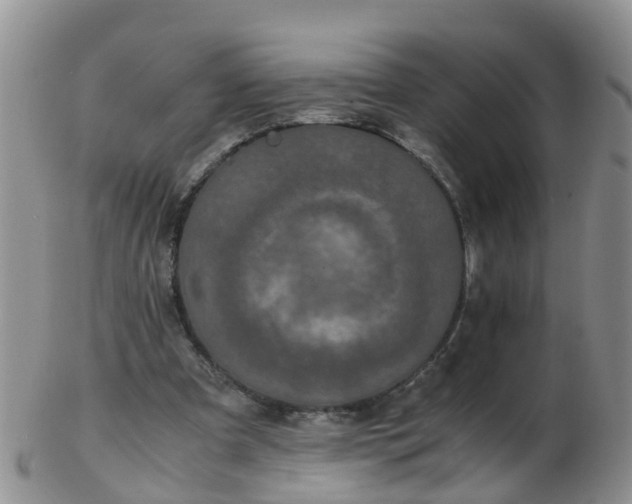 X0000103270297200809122142