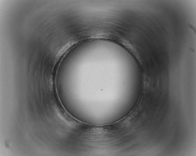 X0000103270298200809122142