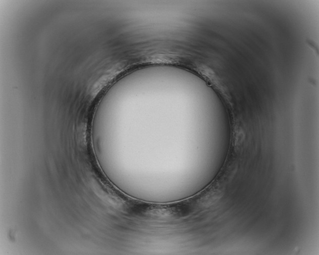 X0000103270299200809122142
