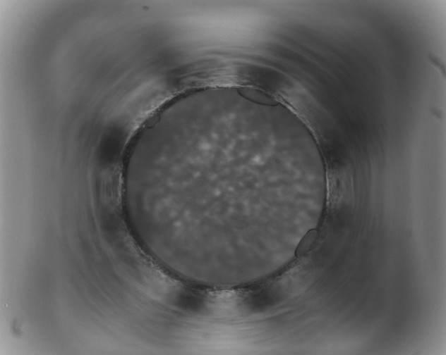 X0000103270301200809122142