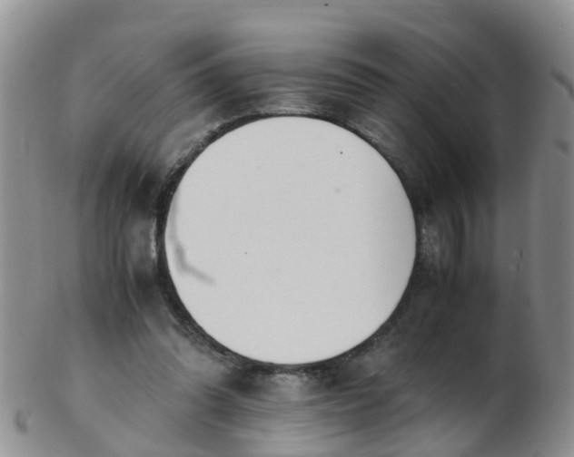 X0000103270302200809122142