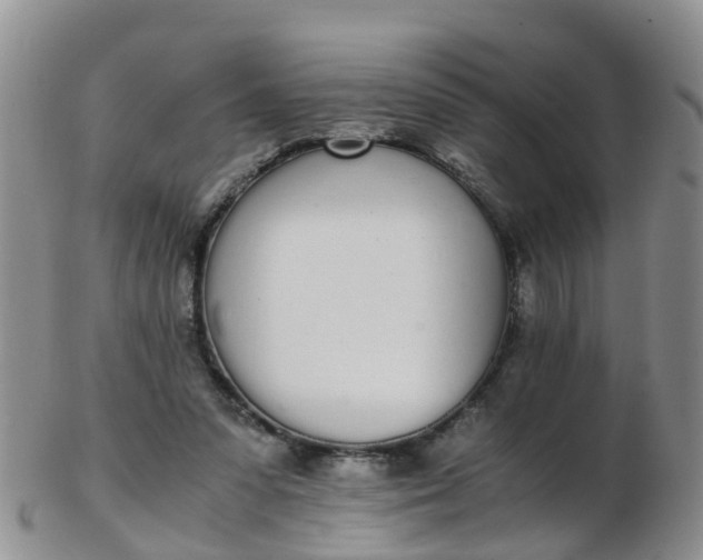 X0000103270303200809122142