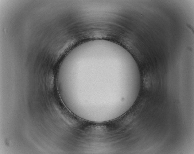 X0000103270304200809122142