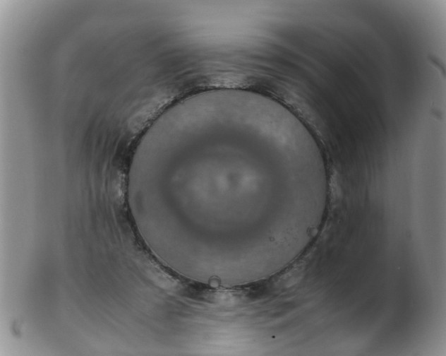 X0000103270305200809122142