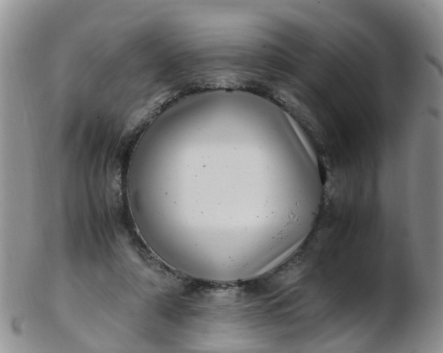 X0000103270306200809122142
