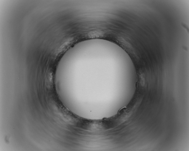 X0000103270308200809122142