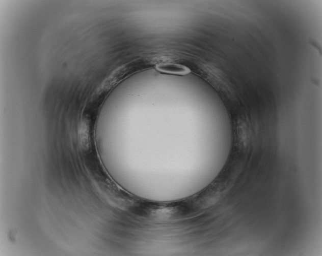X0000103270312200809122142