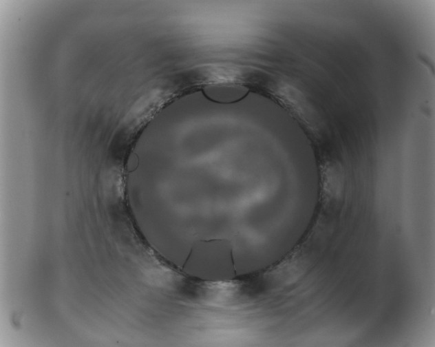 X0000103270313200809122142