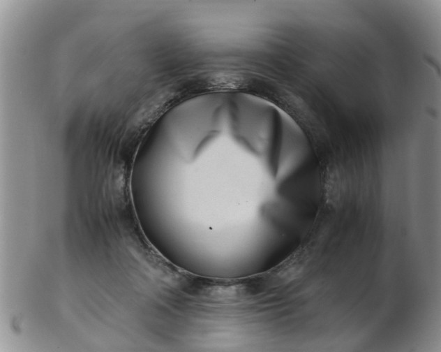 X0000103270314200809122142