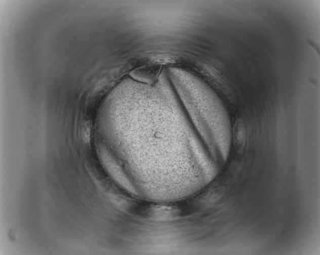 X0000103270315200809122142