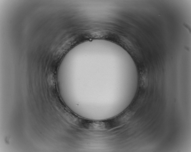 X0000103270317200809122142
